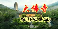 操女人的大黑逼视频中国浙江-新昌大佛寺旅游风景区
